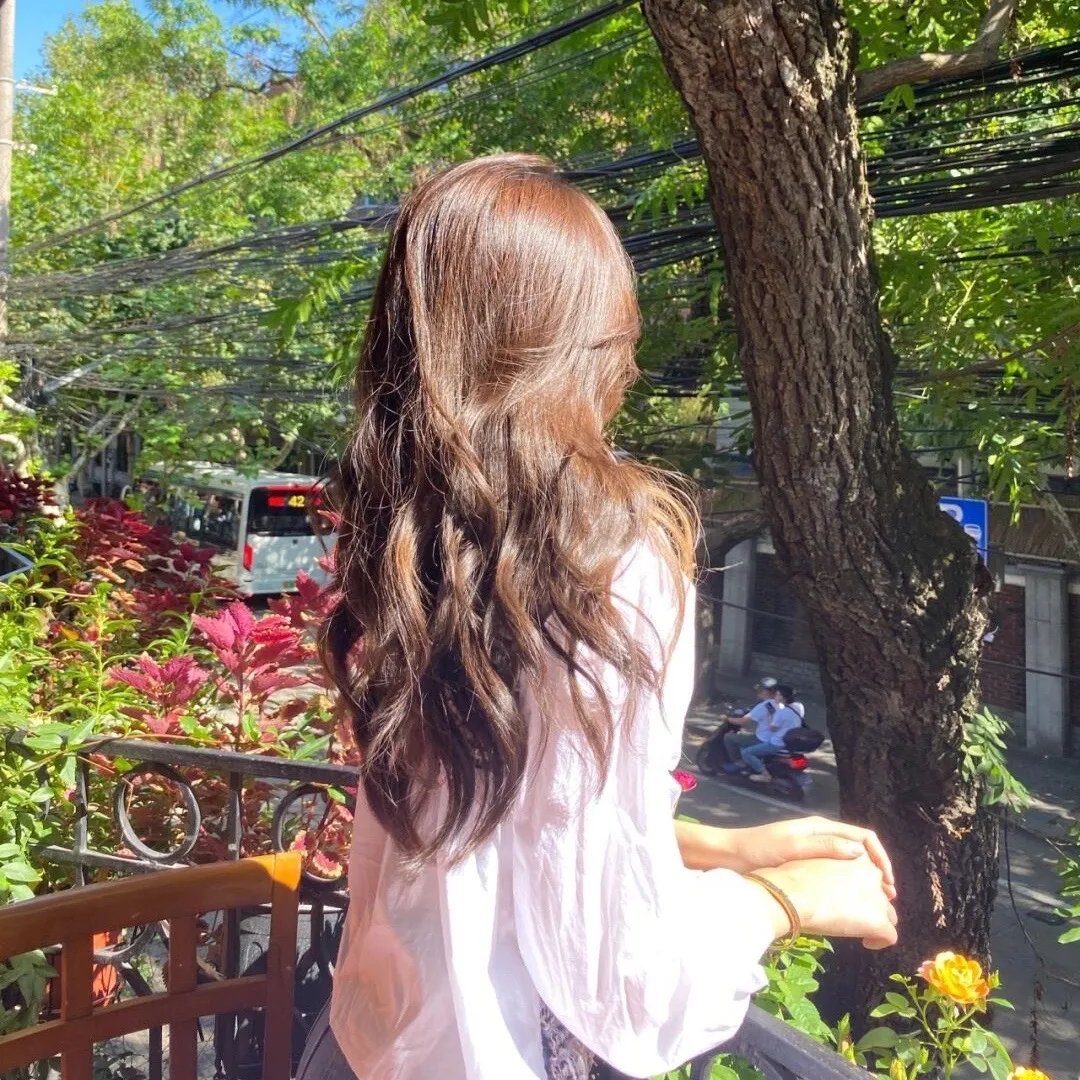 鹡鸰女神第一季